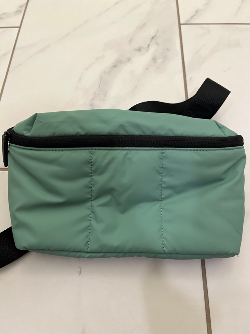 Cal Pak Fanny Pack- never worn.